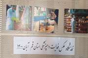 برگزاری نمایشگاه عکس از فعالیت دامپزشکی در اداره کل دامپزشکی استان قم