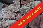 ضبـط و معدوم سازی ۴۸۵۰ کیلوگرم مـرغ فاسد از یکی از کارخانجات فـرآورده های گـوشتی استان