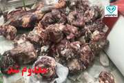 کشف و معدوم سازی 987 کلیوگرم گوشت قرمز فاسد