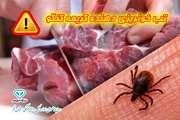 تب خونریزی دهنده کریمه کنگو یک بیماری ویروسی مشترک بین انسان و دام 