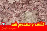 کشف و معـدوم‌ سازی یک تن اسکلت مـرغ غیــر بهداشتی در شهــرک صنعتی شکوهیــه قــــم