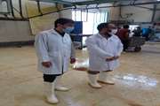 بازدید از کشتارگاه شهرداری
