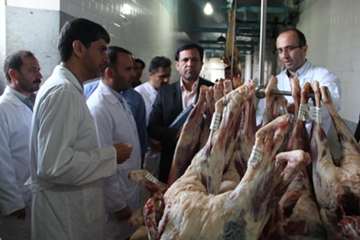 بازدید معاون دادستان قم ازکشتارگاه دام شهرداری