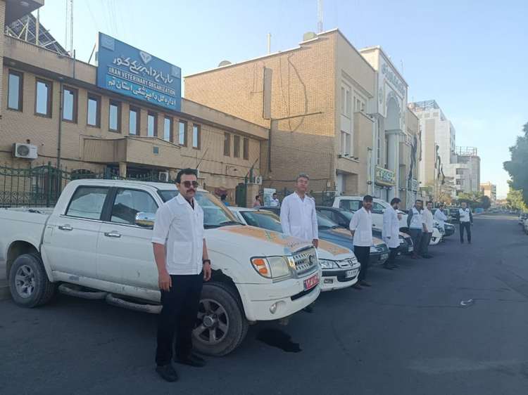 آغاز عملیات ۲۱ اکیپ ثابت و سیـار برای نظارت بر فرآینـد ذبح دام در سطح استان قـم