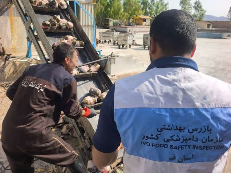 کشف و معدوم‌سازی ۳ تُن گوشت مرغ تاریخ گذشته در قم / نظارت مستمر در جهت امنیت غذایی جامعه